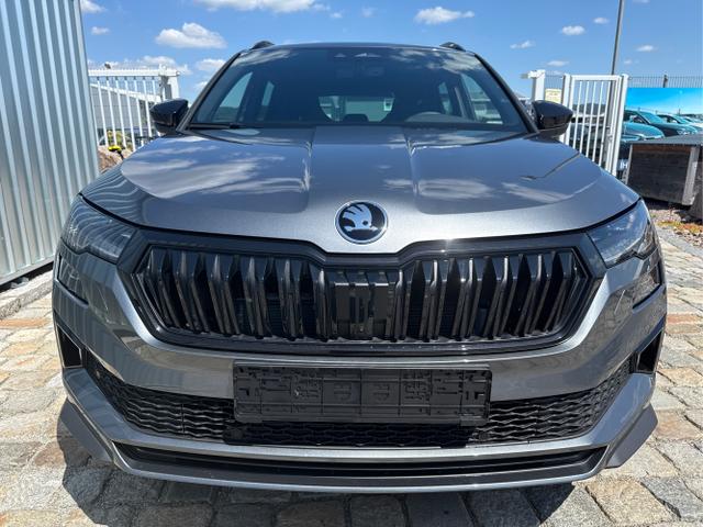 Skoda / Karoq / Grau / / / , Beispielbilder, ggf. teilweise mit Sonderausstattung
