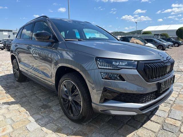Skoda / Karoq / Grau / / / , Beispielbilder, ggf. teilweise mit Sonderausstattung