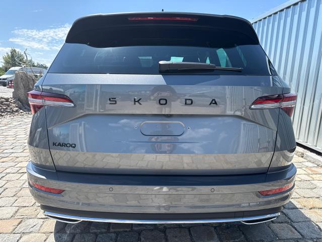 Skoda / Karoq / Grau / / / , Beispielbilder, ggf. teilweise mit Sonderausstattung