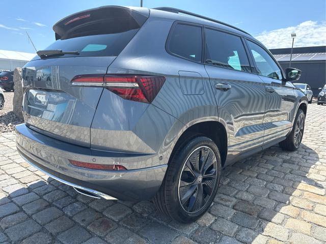 Skoda / Karoq / Grau / / / , Beispielbilder, ggf. teilweise mit Sonderausstattung