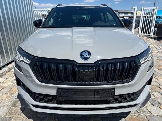 Skoda / Karoq / Grau / / / , Beispielbilder, ggf. teilweise mit Sonderausstattung
