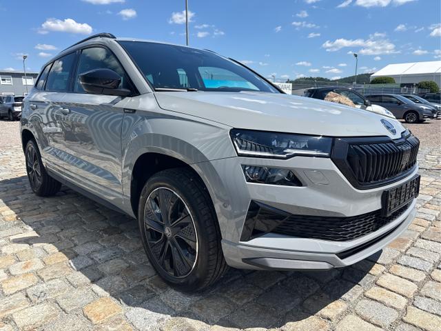 Skoda / Karoq / Grau / / / , Beispielbilder, ggf. teilweise mit Sonderausstattung