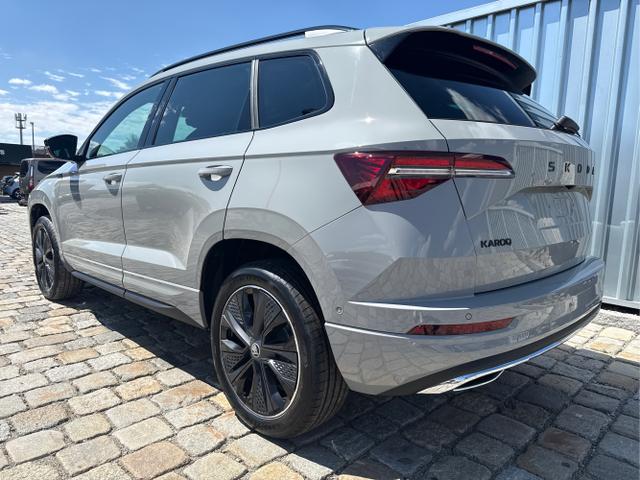 Skoda / Karoq / Grau / / / , Beispielbilder, ggf. teilweise mit Sonderausstattung