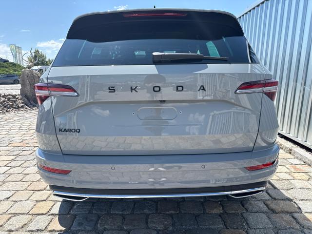 Skoda / Karoq / Grau / / / , Beispielbilder, ggf. teilweise mit Sonderausstattung