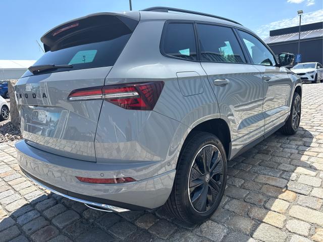 Skoda / Karoq / Grau / / / , Beispielbilder, ggf. teilweise mit Sonderausstattung