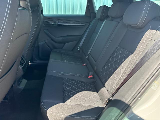 Skoda / Karoq / Grau / / / , Beispielbilder, ggf. teilweise mit Sonderausstattung