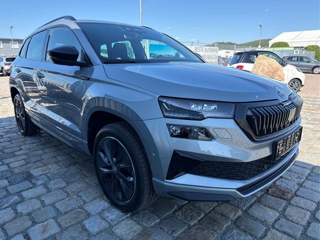Skoda / Karoq / Grau / / / , Beispielbilder, ggf. teilweise mit Sonderausstattung