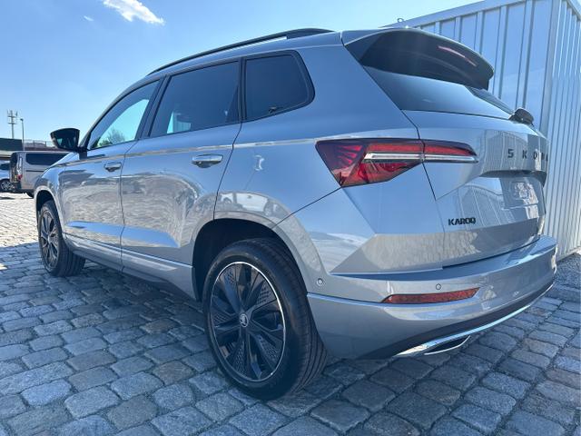 Skoda / Karoq / Grau / / / , Beispielbilder, ggf. teilweise mit Sonderausstattung