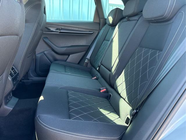 Skoda / Karoq / Grau / / / , Beispielbilder, ggf. teilweise mit Sonderausstattung