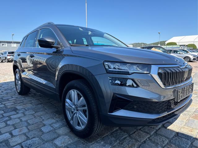 Skoda / Karoq / Grau / / / , Beispielbilder, ggf. teilweise mit Sonderausstattung