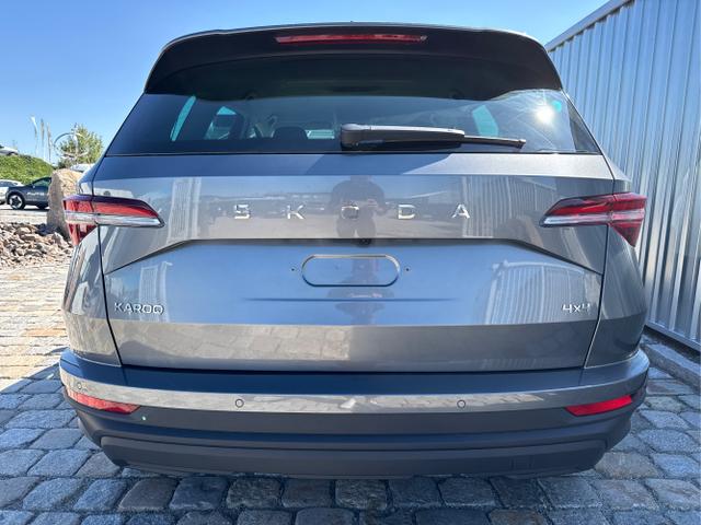 Skoda / Karoq / Grau / / / , Beispielbilder, ggf. teilweise mit Sonderausstattung