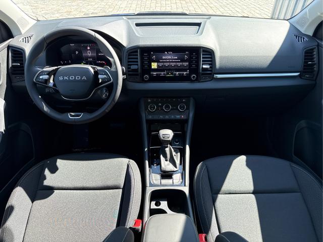 Skoda / Karoq / Grau / / / , Beispielbilder, ggf. teilweise mit Sonderausstattung