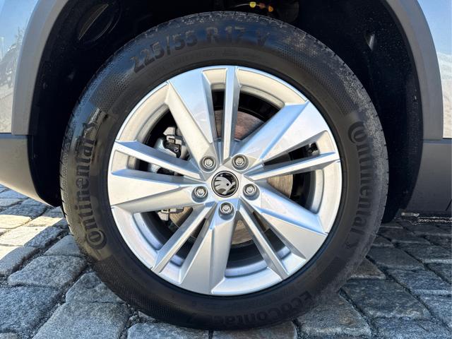 Skoda / Karoq / Grau / / / , Beispielbilder, ggf. teilweise mit Sonderausstattung
