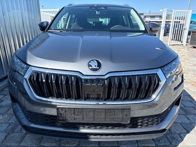 Skoda / Karoq / Grau / / / , Beispielbilder, ggf. teilweise mit Sonderausstattung