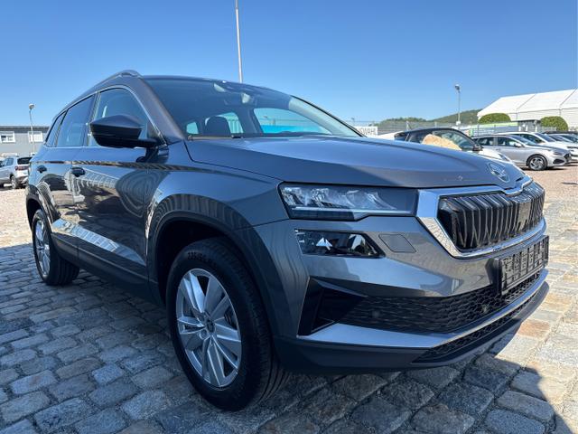 Skoda / Karoq / Grau / / / , Beispielbilder, ggf. teilweise mit Sonderausstattung