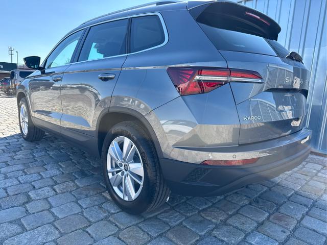 Skoda / Karoq / Grau / / / , Beispielbilder, ggf. teilweise mit Sonderausstattung