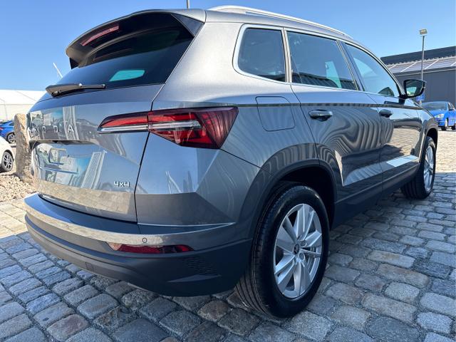 Skoda / Karoq / Grau / / / , Beispielbilder, ggf. teilweise mit Sonderausstattung
