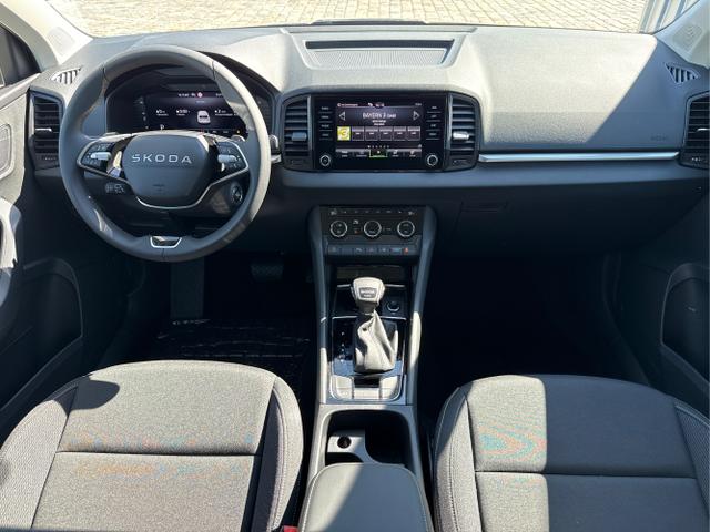 Skoda / Karoq / Grau / / / , Beispielbilder, ggf. teilweise mit Sonderausstattung