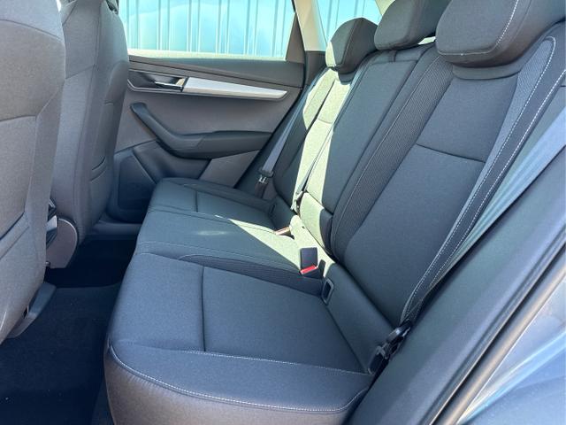 Skoda / Karoq / Grau / / / , Beispielbilder, ggf. teilweise mit Sonderausstattung