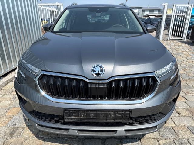 Skoda / Kamiq / Grau / / / , Beispielbilder, ggf. teilweise mit Sonderausstattung