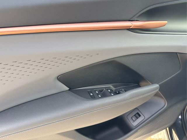 Cupra / Terramar / Grau / / / 