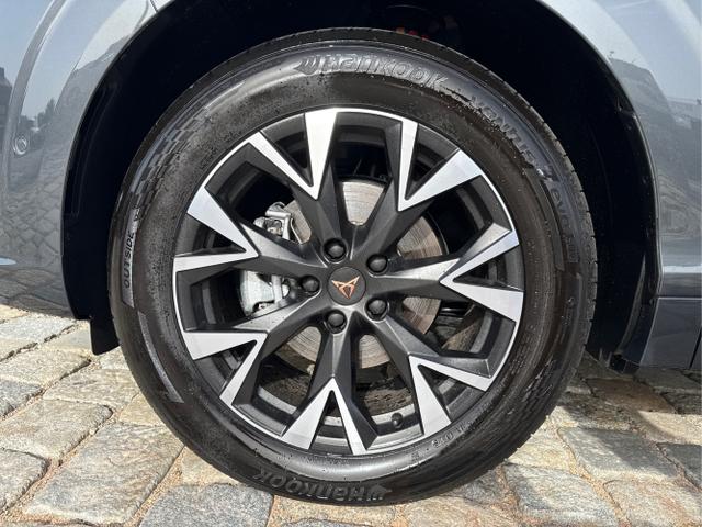 Cupra / Terramar / Grau / / / 