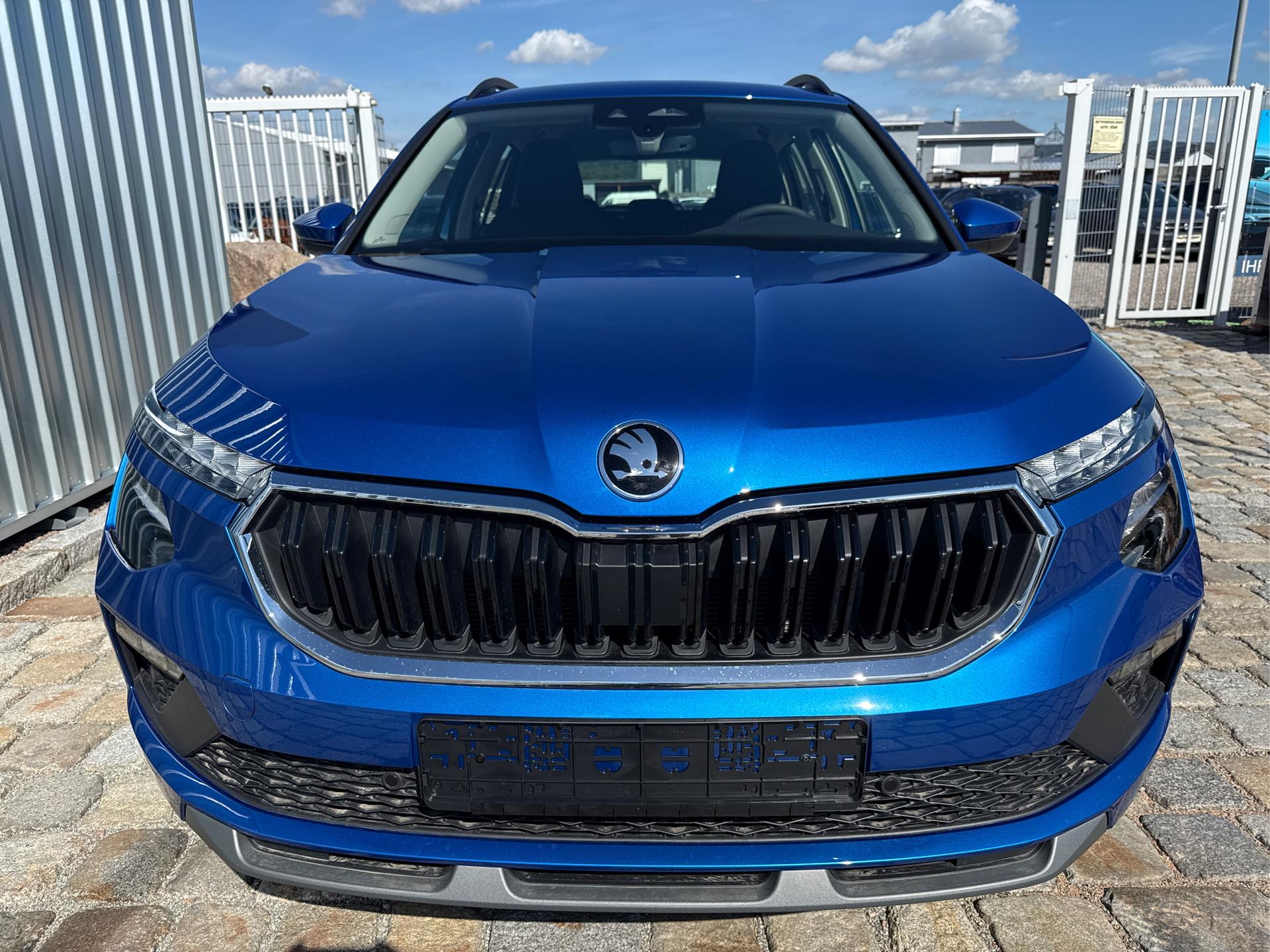 Skoda / Kamiq / Blau /  /  / 