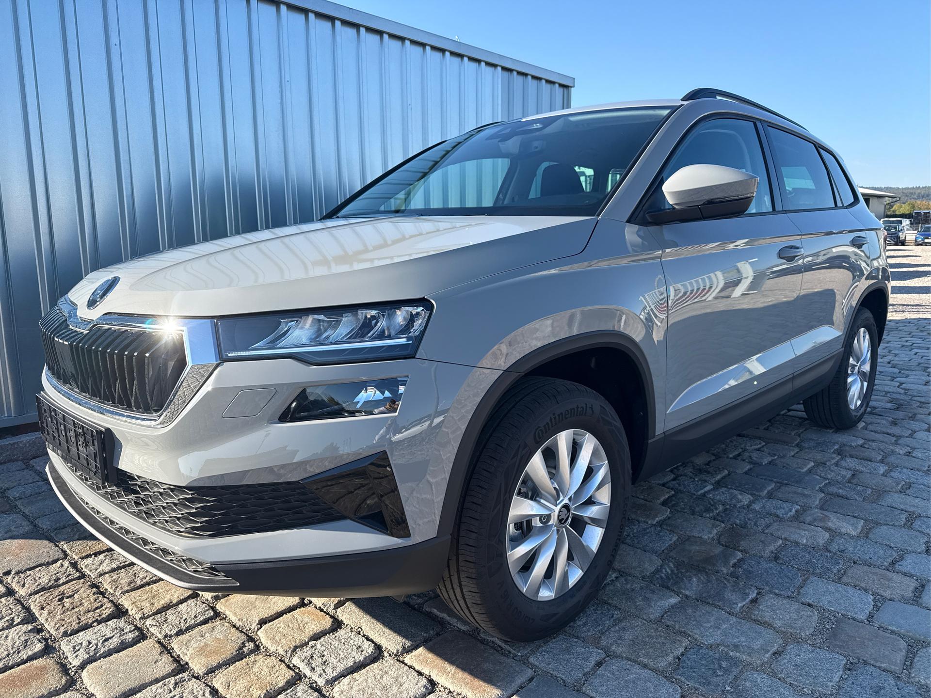 Skoda / Karoq / Grau /  /  / 