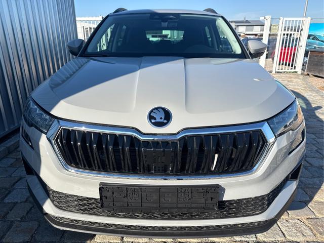 Skoda / Karoq / Grau / / / , Beispielbilder, ggf. teilweise mit Sonderausstattung