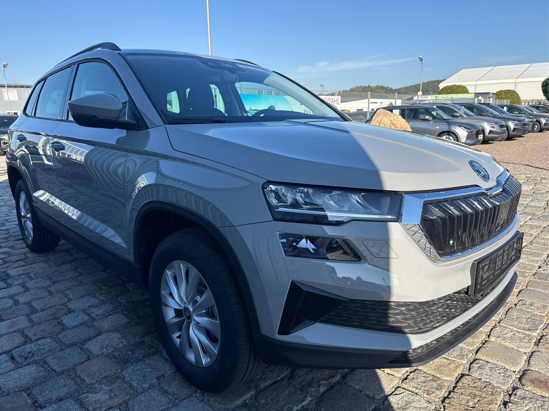 Skoda / Karoq / Grau /  /  / 
