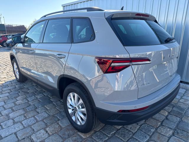 Skoda / Karoq / Grau / / / , Beispielbilder, ggf. teilweise mit Sonderausstattung