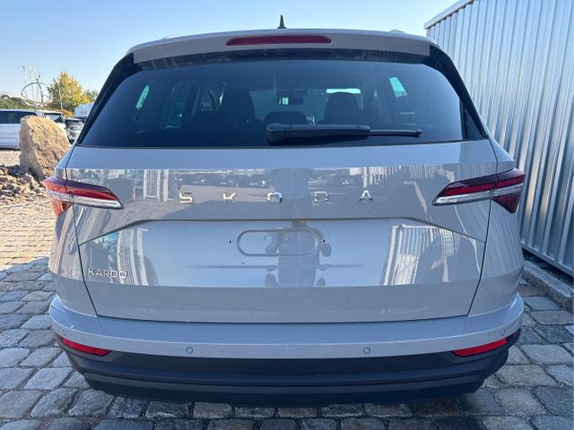 Skoda / Karoq / Grau / / / , Beispielbilder, ggf. teilweise mit Sonderausstattung