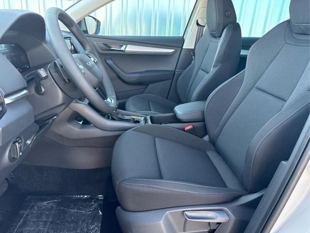 Skoda / Karoq / Grau / / / , Beispielbilder, ggf. teilweise mit Sonderausstattung