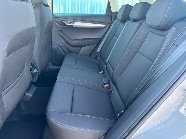 Skoda / Karoq / Grau / / / , Beispielbilder, ggf. teilweise mit Sonderausstattung