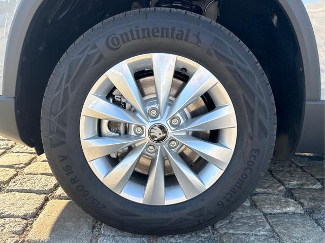 Skoda / Karoq / Grau / / / , Beispielbilder, ggf. teilweise mit Sonderausstattung