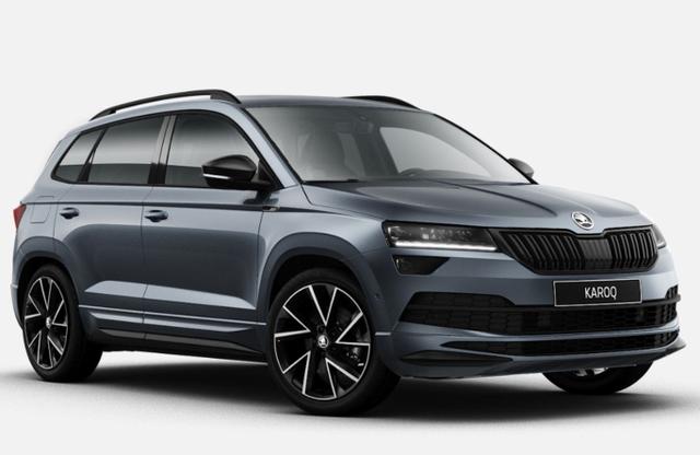 Брызговики skoda karoq