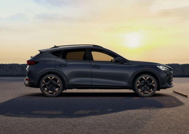 Cupra Formentor - VZ 2.0 TSI 310 DSG 4Drive Leder Matrix