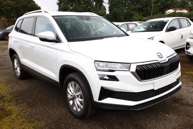 Skoda Karoq - TDI 116 Selec LED Nav VirC Kam SunS PDC