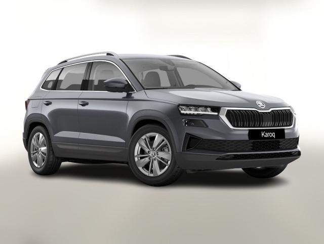 Skoda Karoq - TSI DSG Selec AHK LED Nav Kam SHZ SunS