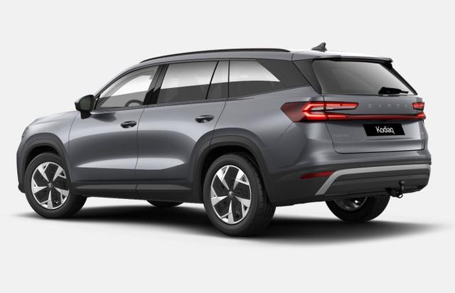 Kodiaq Selection TDI 193 DSG 4x4 Selec AHK Matrix 7-S Nav 