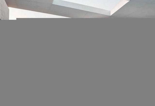 Citan BASE Kasten 108 CDI Klima Holz MBUX Kam PDC 