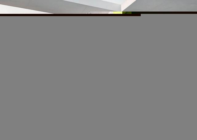 Citan BASE Kasten 112 CDI L2 Klima Holz MBUX Kam 