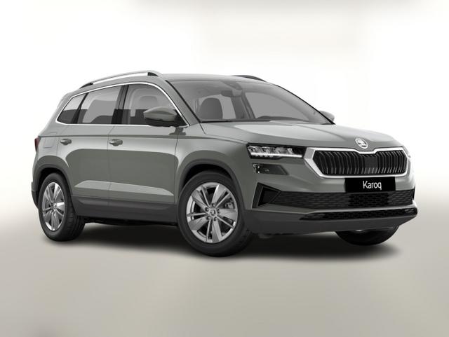 Skoda Karoq - Selection TSI DSG Selec LED Nav Kam SHZ SunS Kessy
