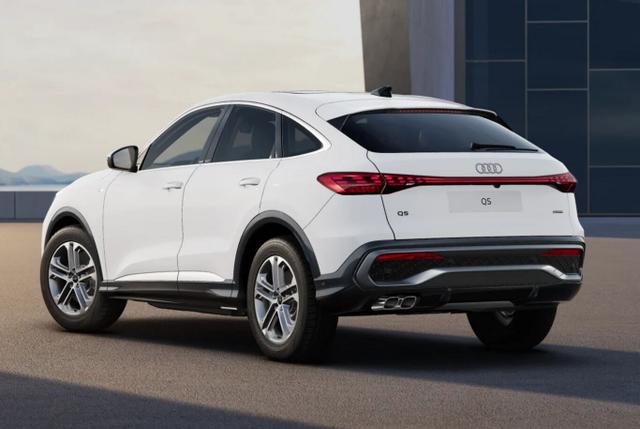 Audi Q5 Sportback S line Sportb TDI NeuMod Tech SportS Pano Nav 