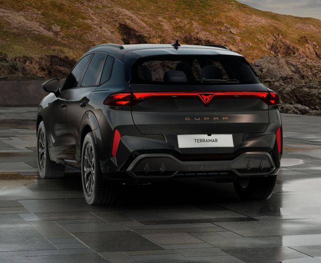 Cupra Terramar 1.5 eTSI 150 DCT LED VirCo SHZ Kam PDC 