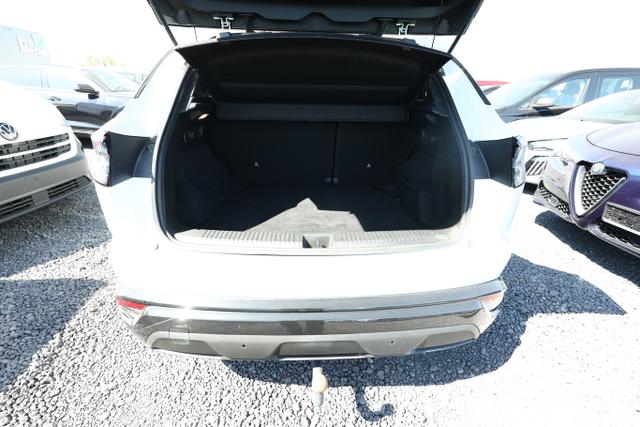 Austral Techno TCe 160 MHEV CVT ACC Massage 19" 