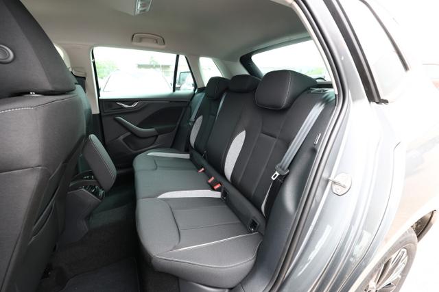 Skoda Kamiq Selection TSI 116 DSG Selec Kessy SHZ Kam SunS 17Z 