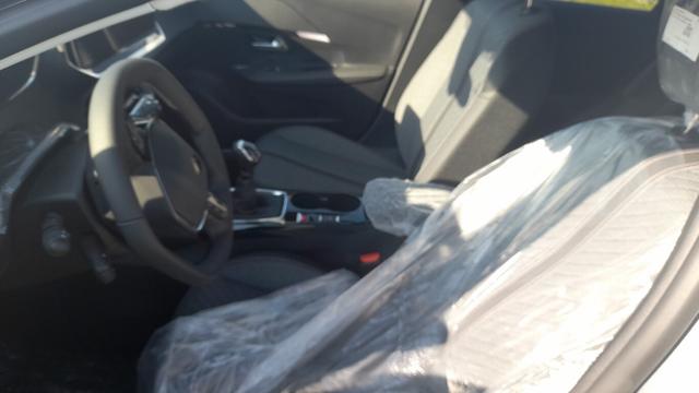 Peugeot 208 MHEV 110 DSC6 Allure ACC Kam LED SHZ 4JGar 