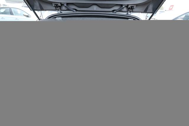 Mégane E-TECH Iconic Megane EV60 220 OptiCharge Leder 