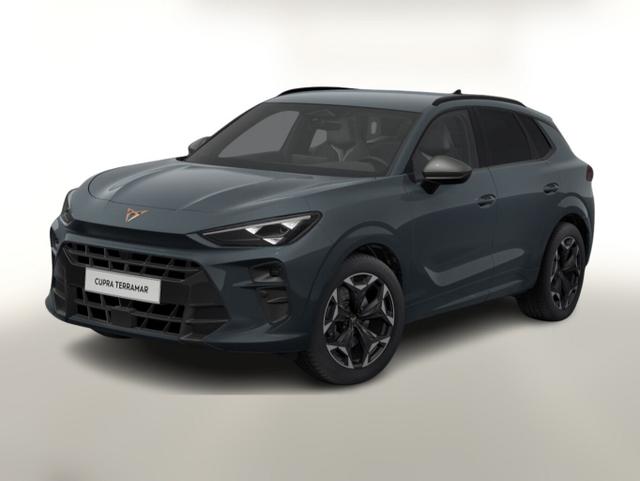 Terramar - VZ TSI 265 DSG 4D Matrix Kam360 eHK ACC
